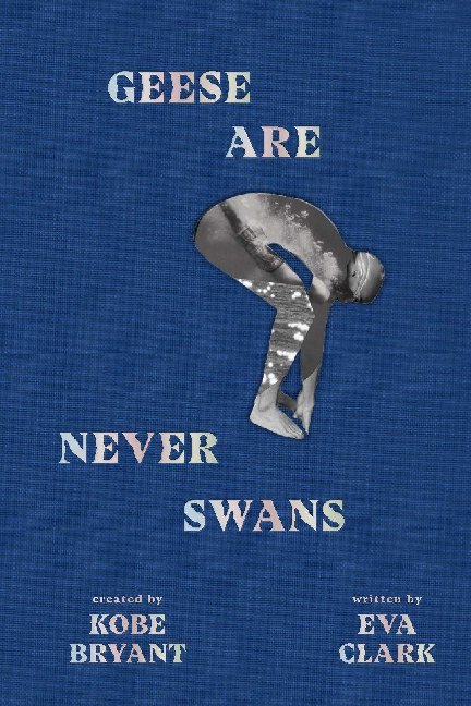 Geese Are Never Swans main product photo