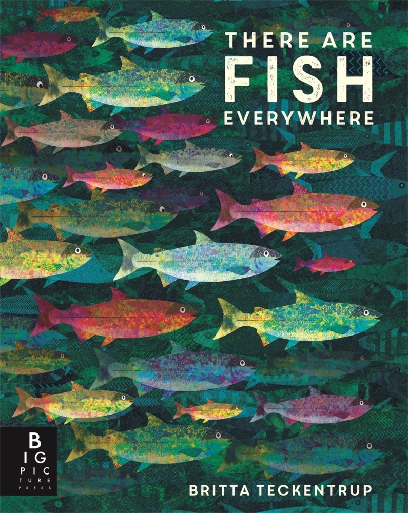 There are Fish Everywhere main product photo