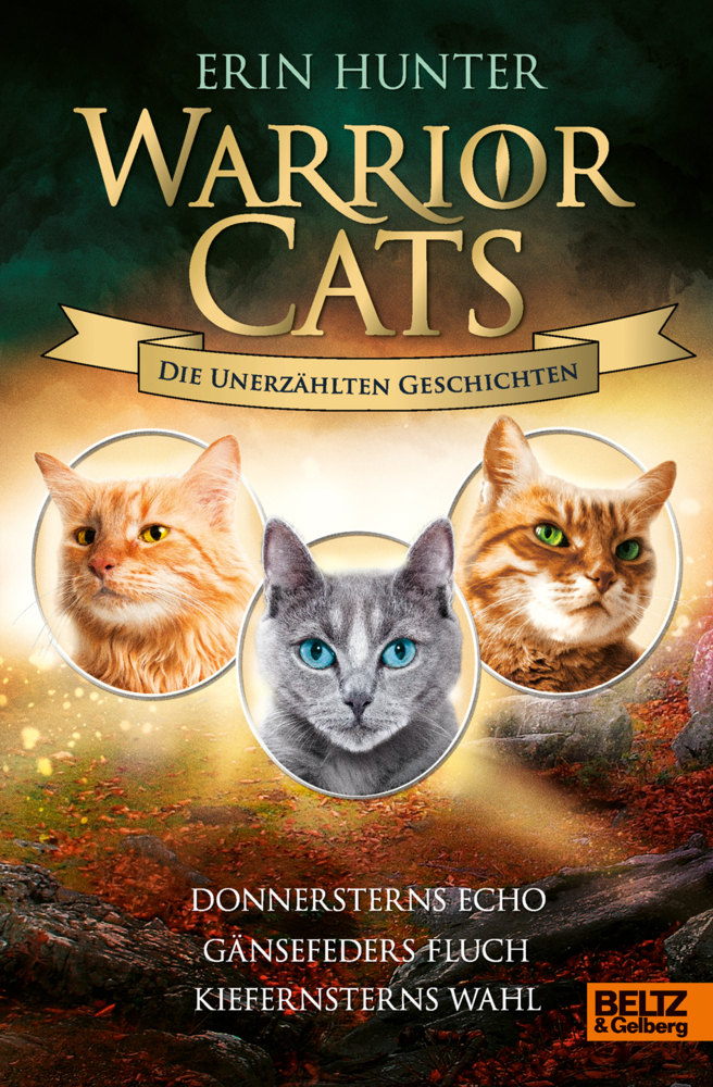 Warrior Cats - Die unerzählten Geschichten main product photo