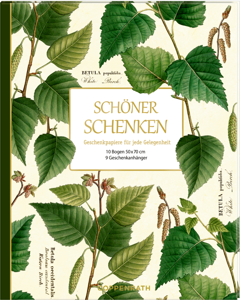Geschenkpapier-Buch - Schöner schenken (Sammlung Augustina) main product photo