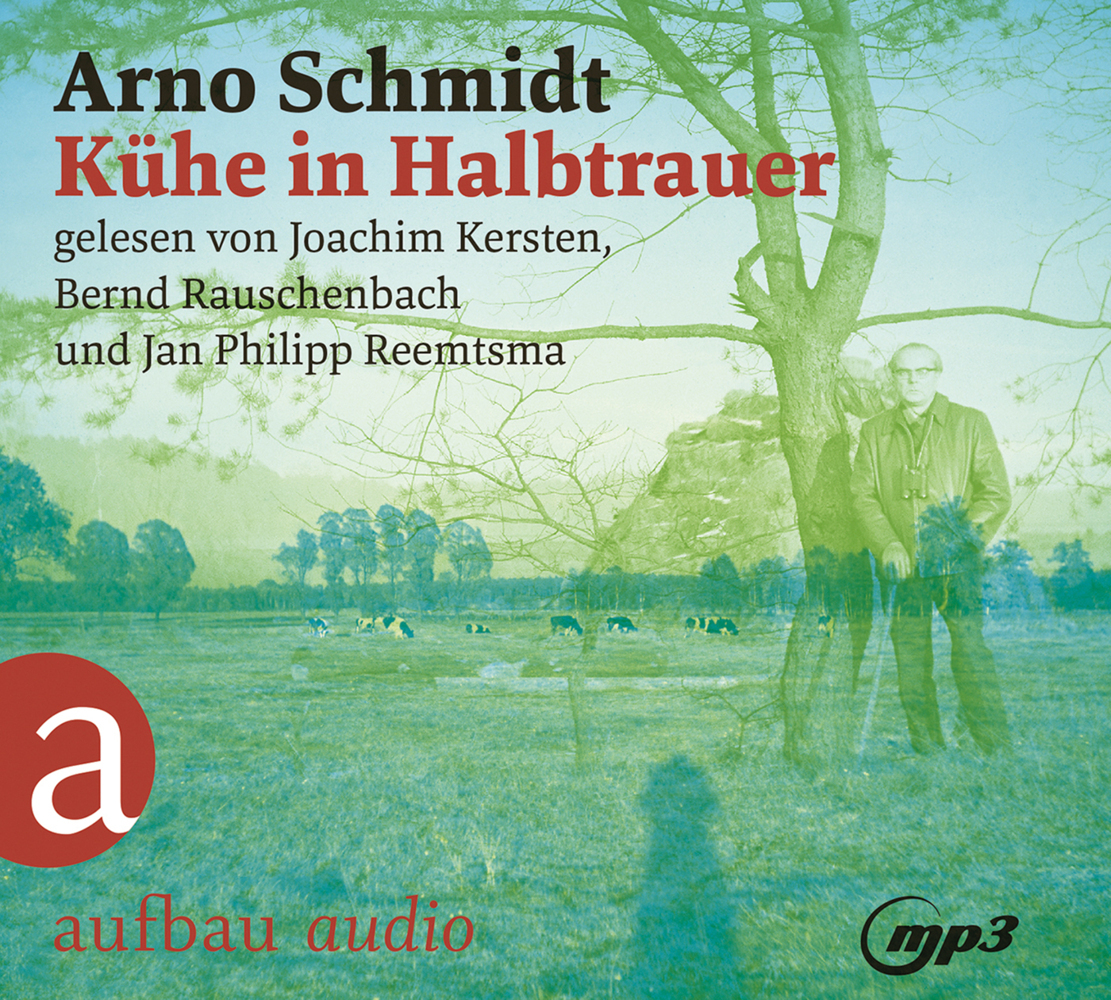 Kühe in Halbtrauer, 2 Audio-CD, 2 MP3 main product photo