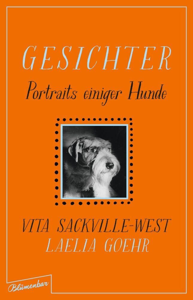 Gesichter main product photo