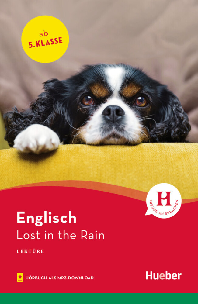 Lost in the Rain main product photo