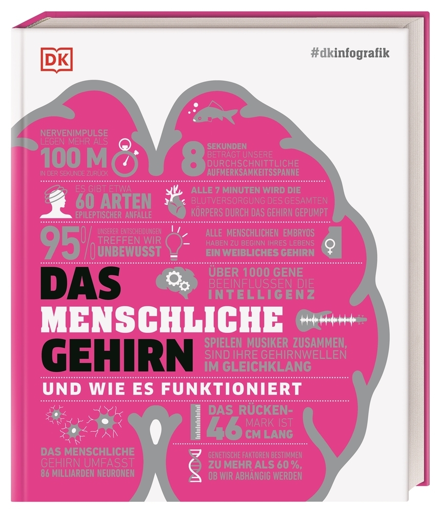 Das menschliche Gehirn und wie es funktioniert main product photo