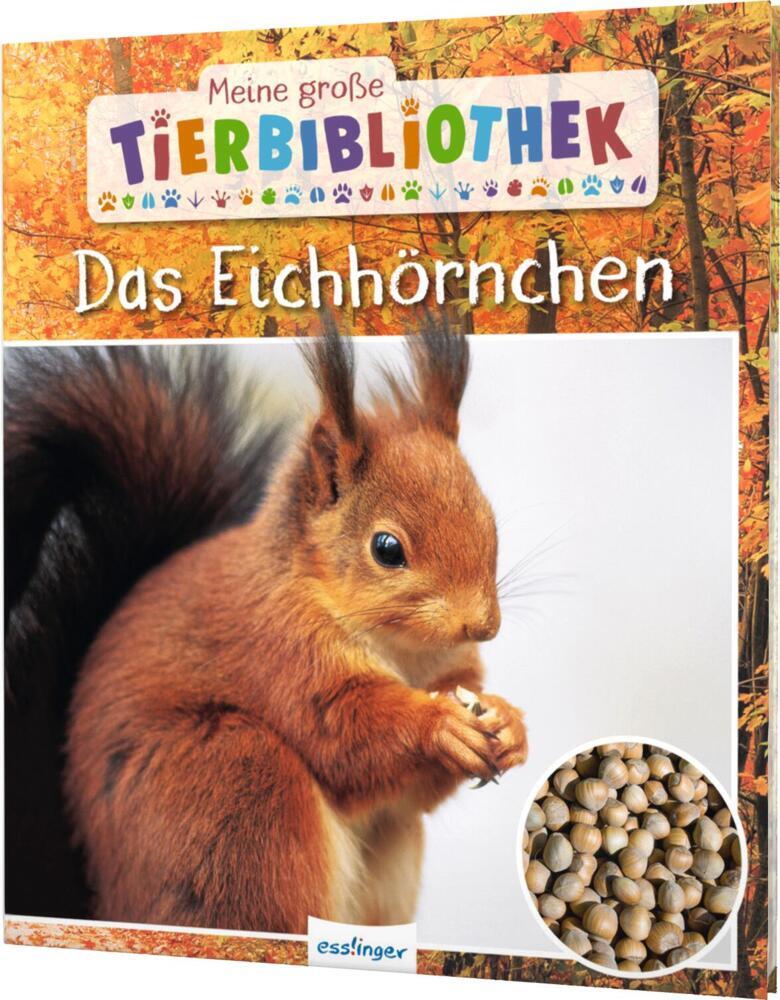 Meine große Tierbibliothek: Das Eichhörnchen main product photo