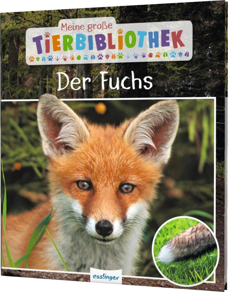 Meine große Tierbibliothek: Der Fuchs main product photo