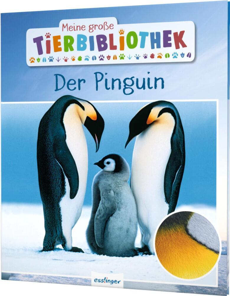 Meine große Tierbibliothek: Der Pinguin main product photo