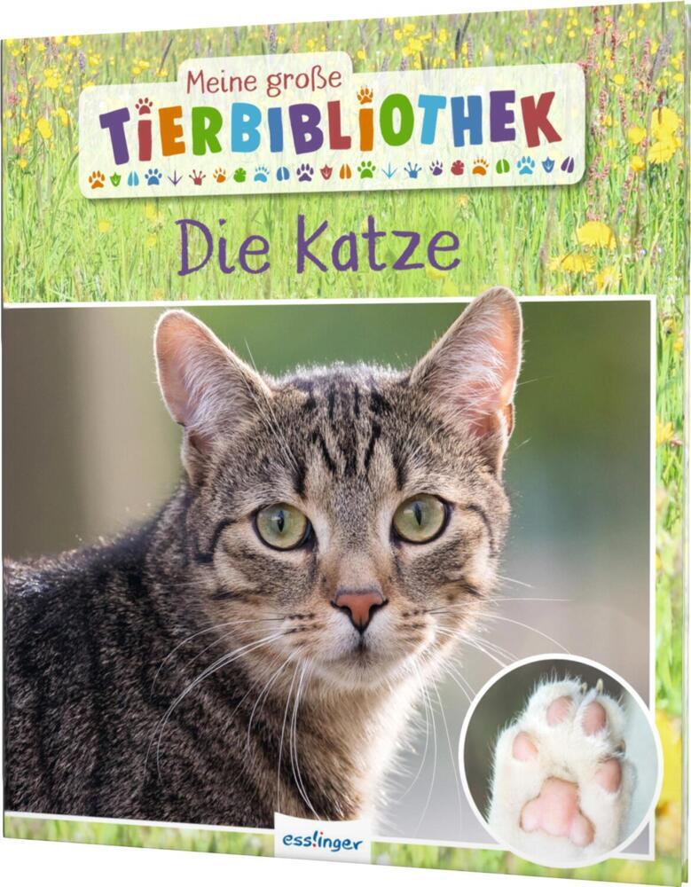 Meine große Tierbibliothek: Die Katze main product photo