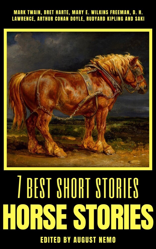 7 best short stories - Horse Stories main product photo