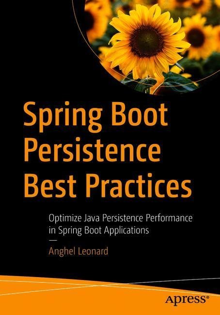 Spring Boot Persistence Best Practices main product photo