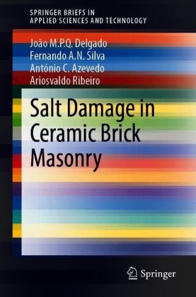Salt Damage in Ceramic Brick Masonry