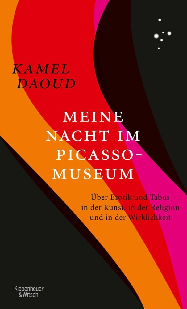 Meine Nacht im Picasso-Museum main product photo