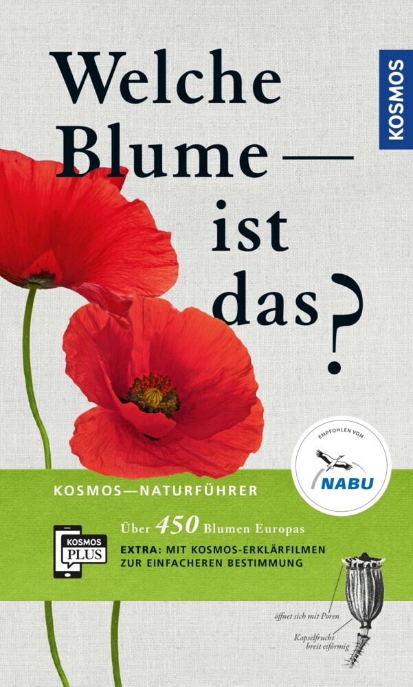 Welche Blume ist das? main product photo