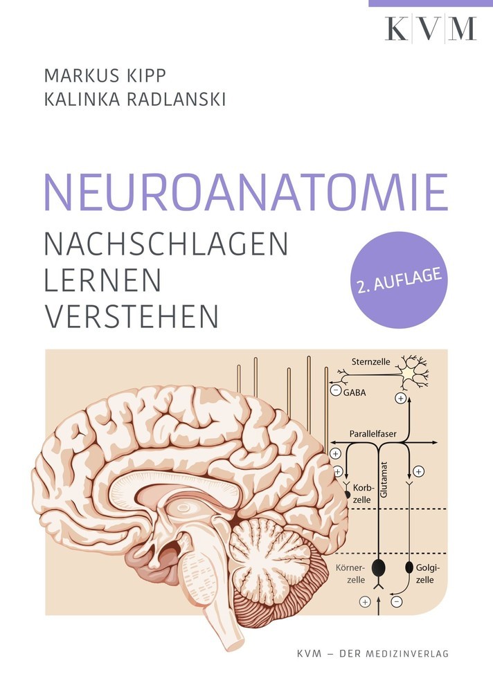 Neuroanatomie main product photo