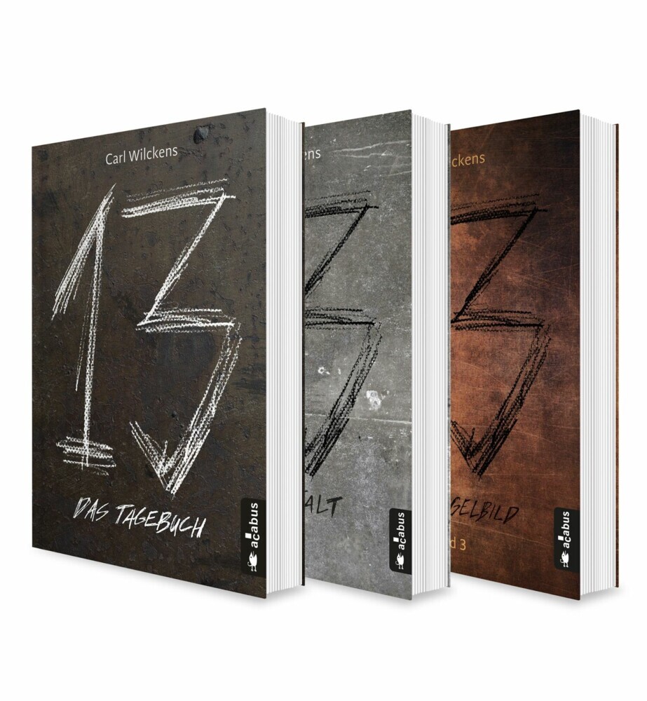Dreizehn Band 1-3: Das Tagebuch / Die Anstalt / Das Spiegelbild main product photo