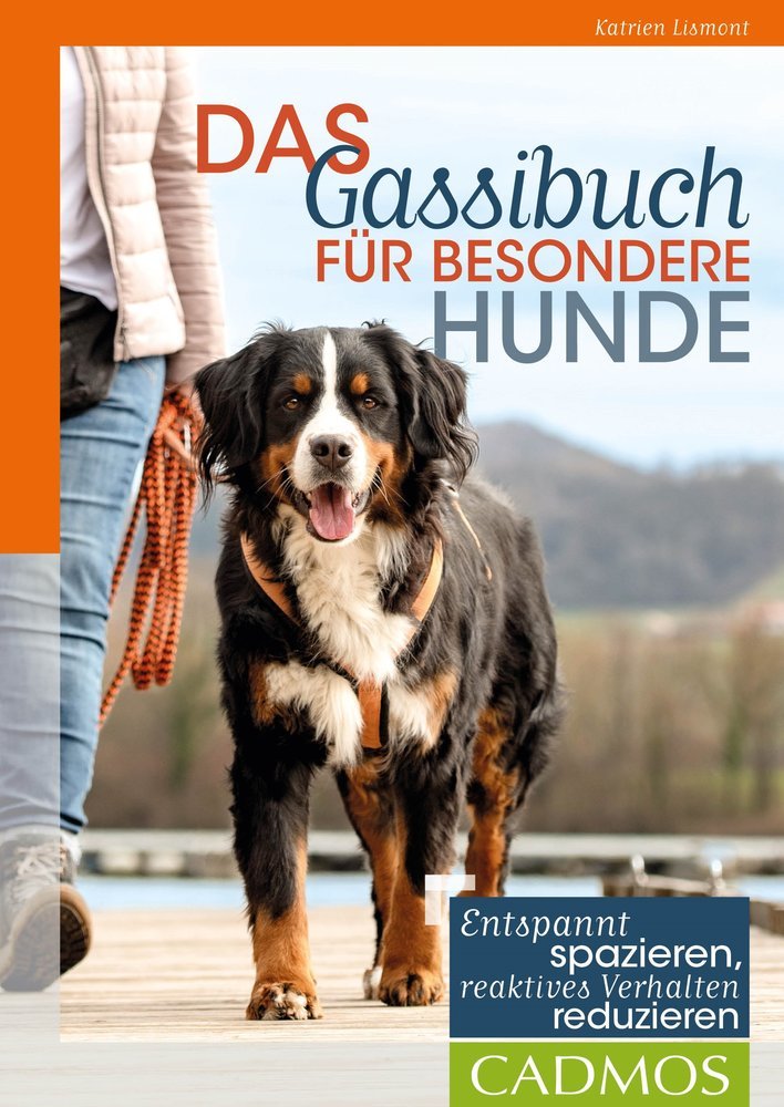 Das Gassibuch für besondere Hunde main product photo