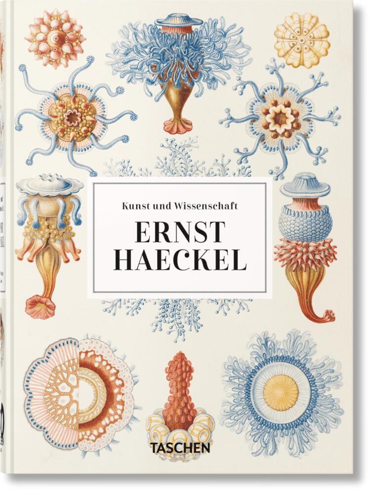 Ernst Haeckel. Kunst und Wissenschaft. 40th Ed. main product photo