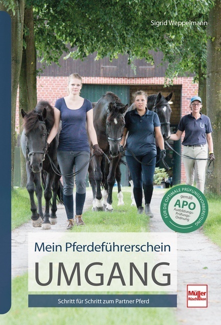 Mein Pferdeführerschein Umgang main product photo