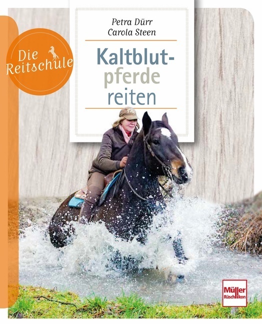 Kaltblutpferde reiten main product photo