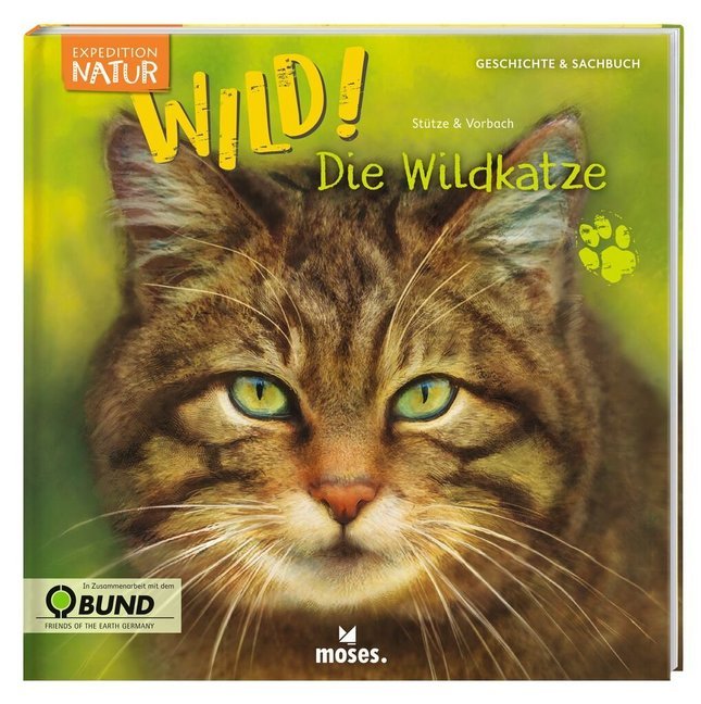 Expedition Natur: WILD! Die Wildkatze main product photo