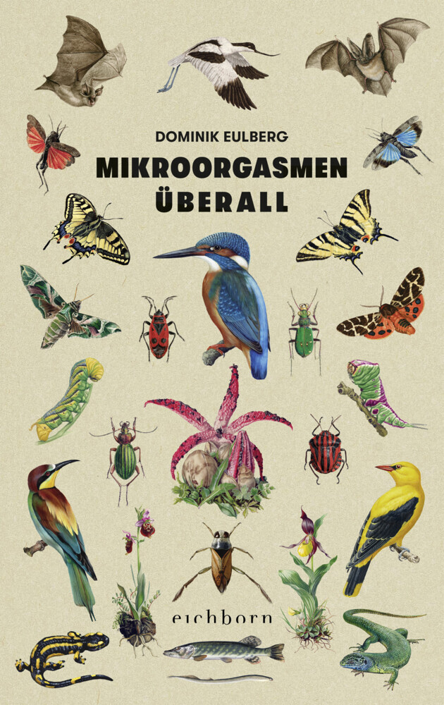 Mikroorgasmen überall main product photo