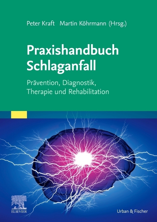 Praxishandbuch Schlaganfall main product photo