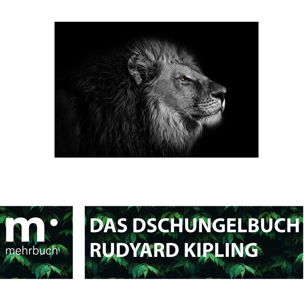 Das Dschungelbuch main product photo