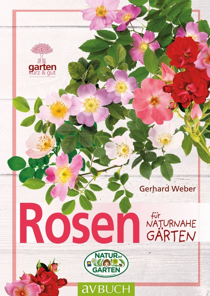 Rosen main product photo