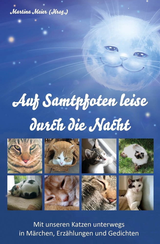 Auf Samtpfoten leise durch die Nacht main product photo