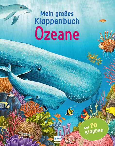 Mein großes Klappenbuch - Ozeane main product photo
