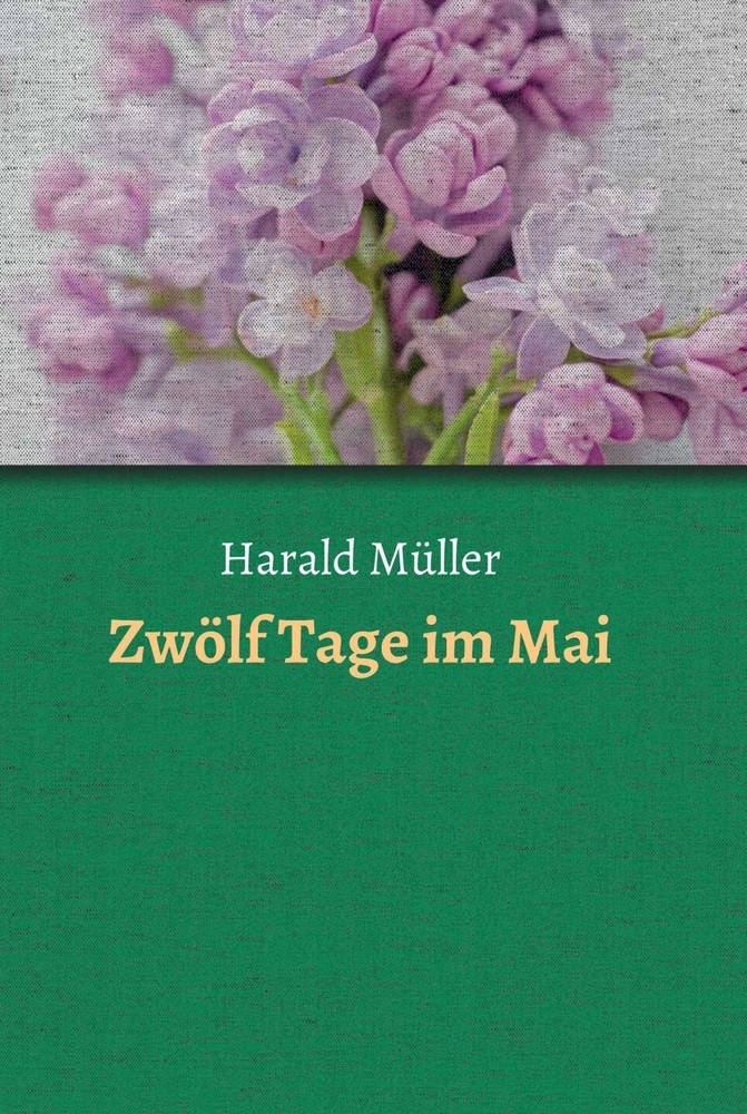 Zwölf Tage im Mai main product photo