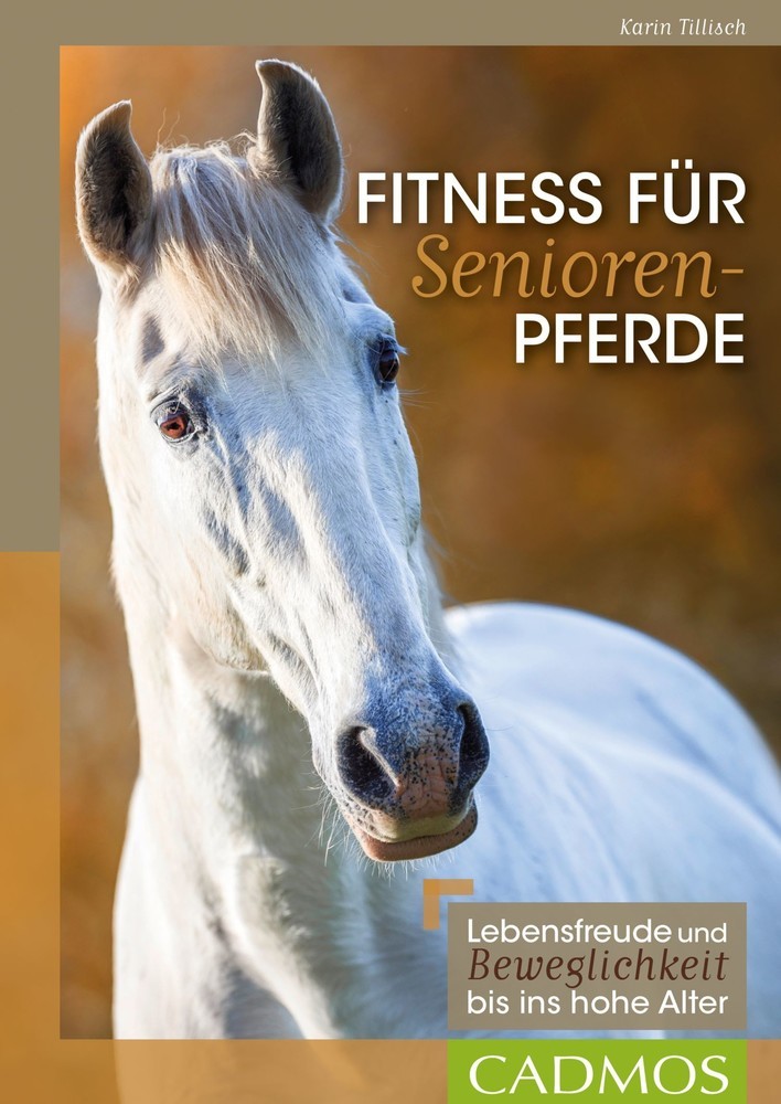 Fitness für Seniorenpferde main product photo