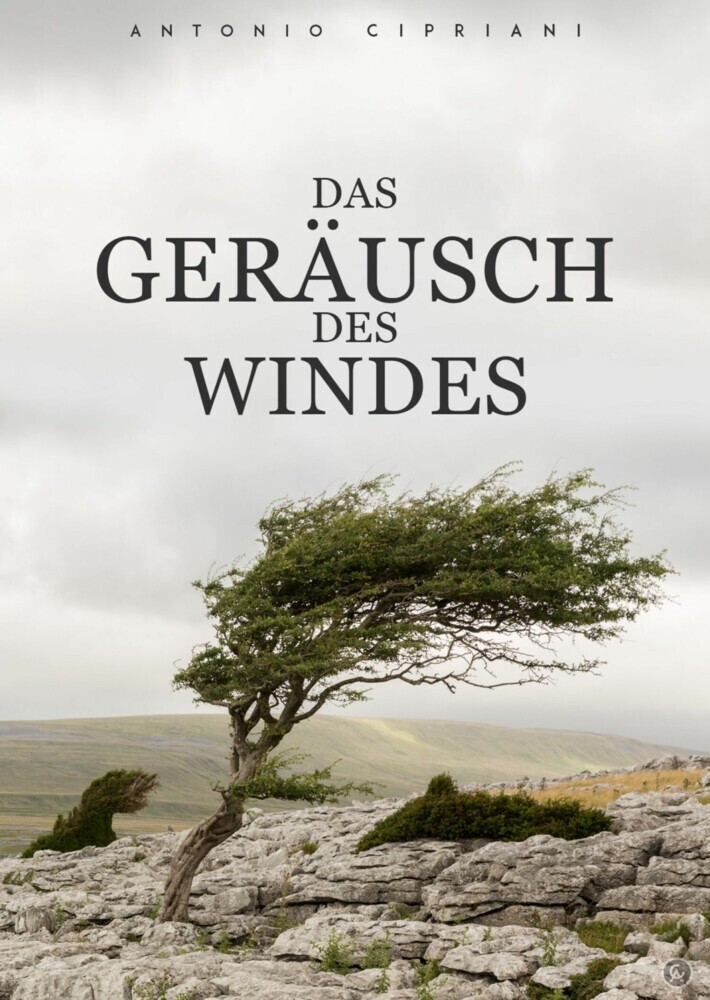 Das Geräusch des Windes main product photo