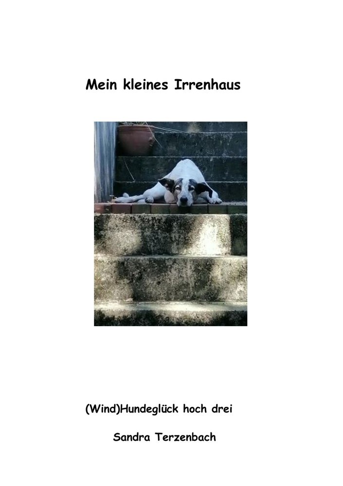 Mein kleines Irrenhaus main product photo