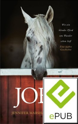 Joey - Wie ein blindes Pferd uns Wunder sehen ließ