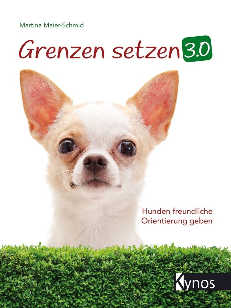 Grenzen setzen 3.0 main product photo