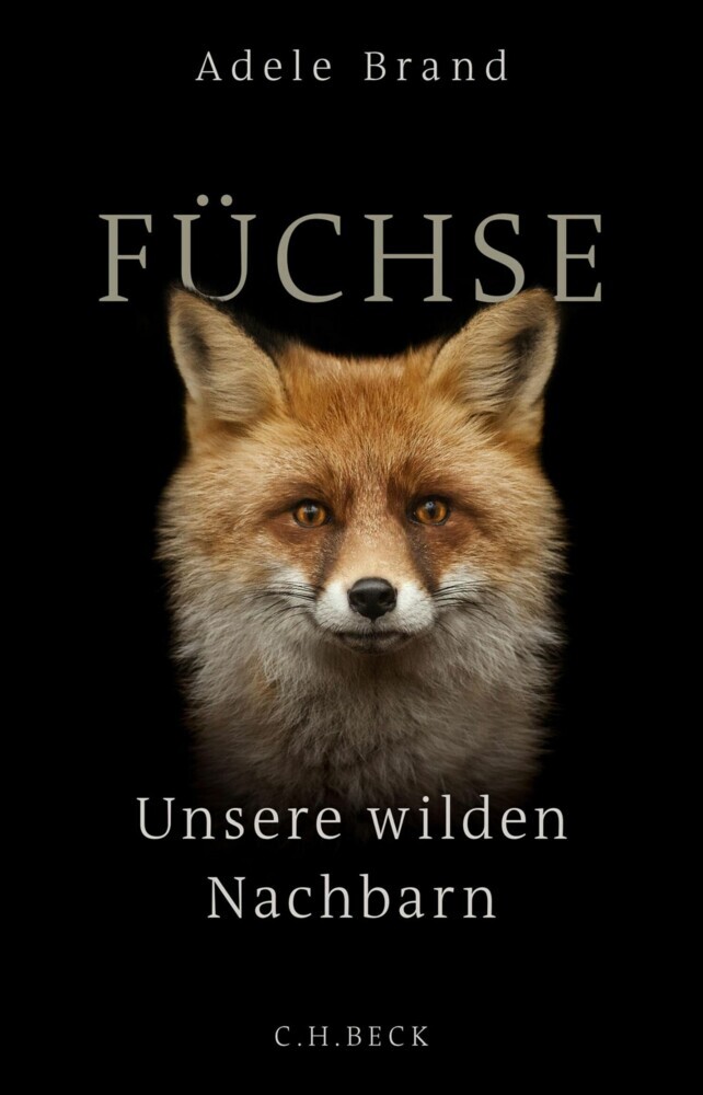 Füchse main product photo
