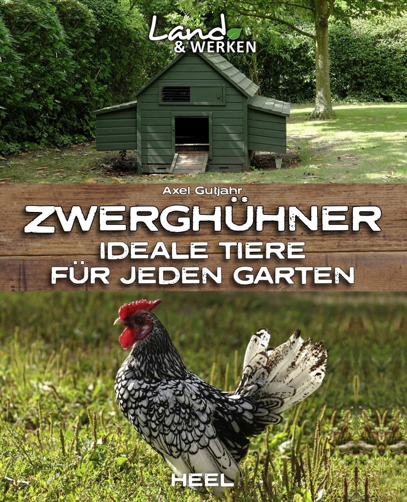 Zwerghühner main product photo