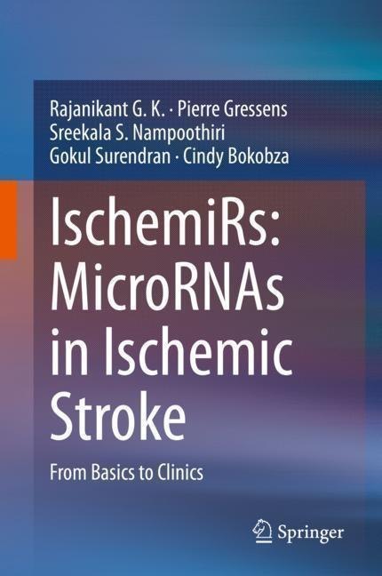 IschemiRs: MicroRNAs in Ischemic Stroke main product photo