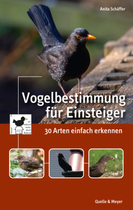 Vogelbestimmung für Einsteiger