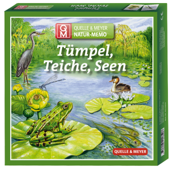 Tümpel, Teiche, Seen (Kinderspiel)