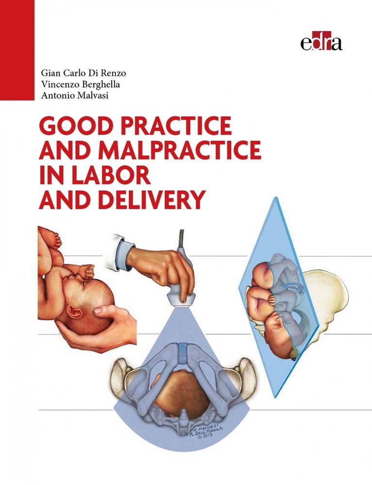 Good practice and malpractice in labor and delivery main product photo