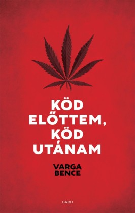 Köd elöttem, köd utánam