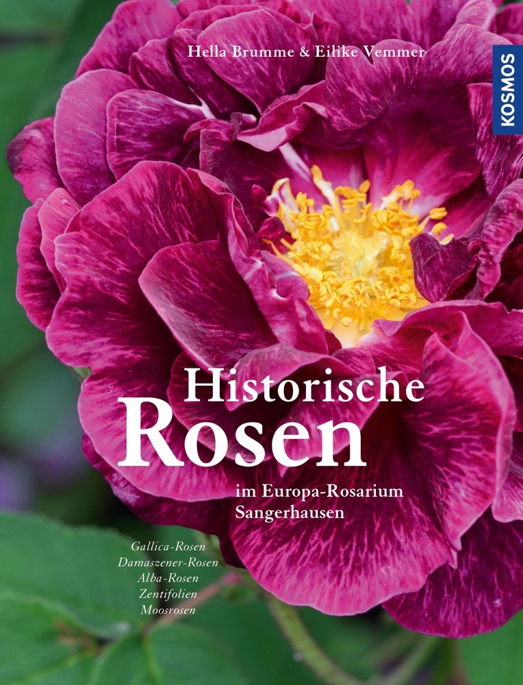 Historische Rosen main product photo