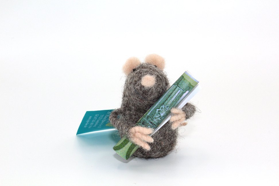 Geldmäuse, 5-7 cm, grau main product photo