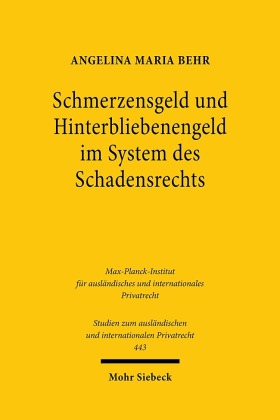 Schmerzensgeld und Hinterbliebenengeld im System des Schadensrechts