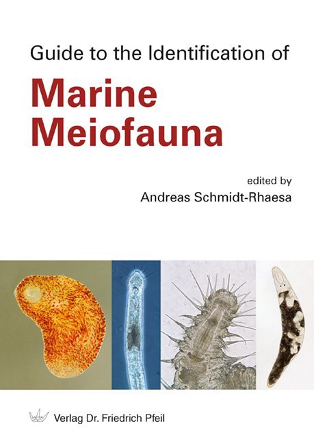 Guide to the Identification of Marine Meiofauna main product photo