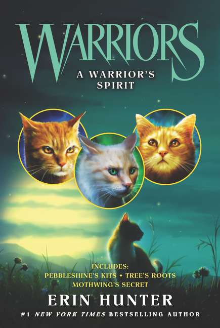 Warriors: A Warrior's Spirit main product photo