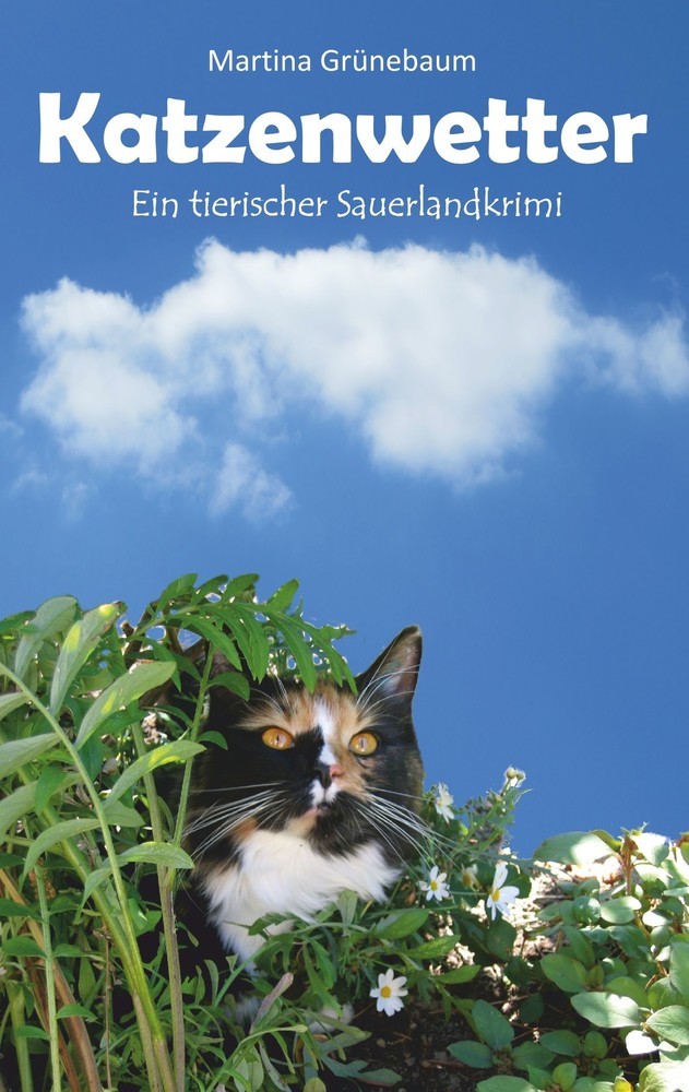 Katzenwetter main product photo