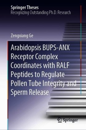 Arabidopsis BUPS-ANX Receptor Complex Coordinates with RALF Peptides to Regulate Pollen Tube Integrity and Sperm Release